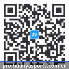 APP 安卓 二维码